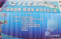 發揚體育拼搏精神，更快更高更強——匯泰龍大力贊助“粵港澳”杯羽毛球大賽